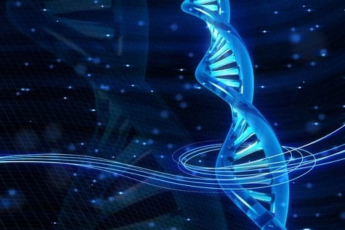 Bài tập Cơ chế di truyền và biến dị cấp độ phân tử