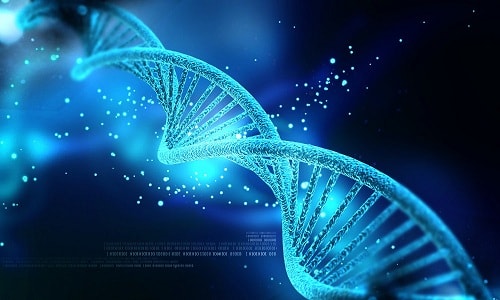Bài tập Nhân đôi ADN và quá trình phiên mã