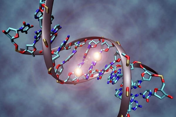 Ý nghĩa của quá trình nhân đôi ADN