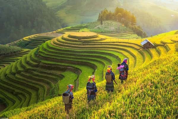 Con người Việt Nam trong thế giới tự nhiên