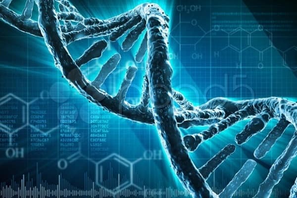 Quá trình nhân đôi ADN được thực hiện theo nguyên tắc gì?