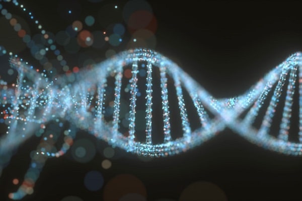 Trong các loại nuclêôtit tham gia cấu tạo nên ADN không có loại