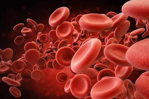Người mang nhóm máu AB có thể truyền máu cho người mang nhóm máu nào mà không xảy ra sự kết dính hồng cầu?