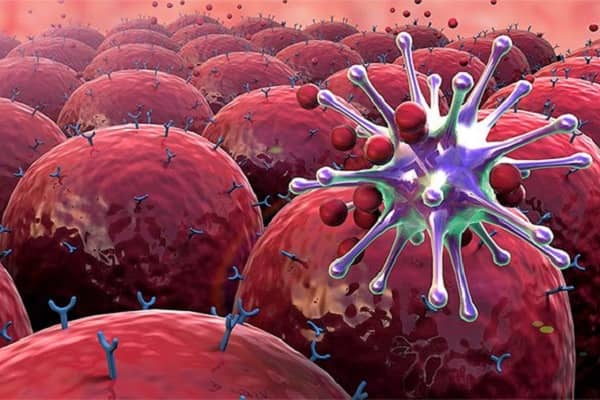 Tế bào limphô T có khả năng tiết ra chất nào dưới đây?