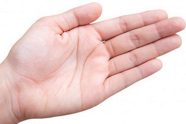 Trong bàn tay người, ngón nào có khả năng cử động linh hoạt nhất ?