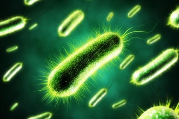 Vi khuẩn E. coli trong điều kiện nuôi cấy thích hợp cứ 20 phút lại phân đôi một lần. Số tế bào của quần thể vi khuẩn E.coli có được sau 10 lần phân chia từ một tế bào vi khuẩn ban đầu là