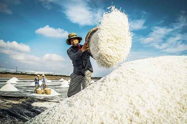 Khó khăn lớn nhất trong phát triển nghề muối truyền thống ở nước ta hiện nay là