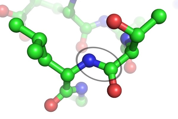 Liên kết giữa các axit amin là loại liên kết gì?